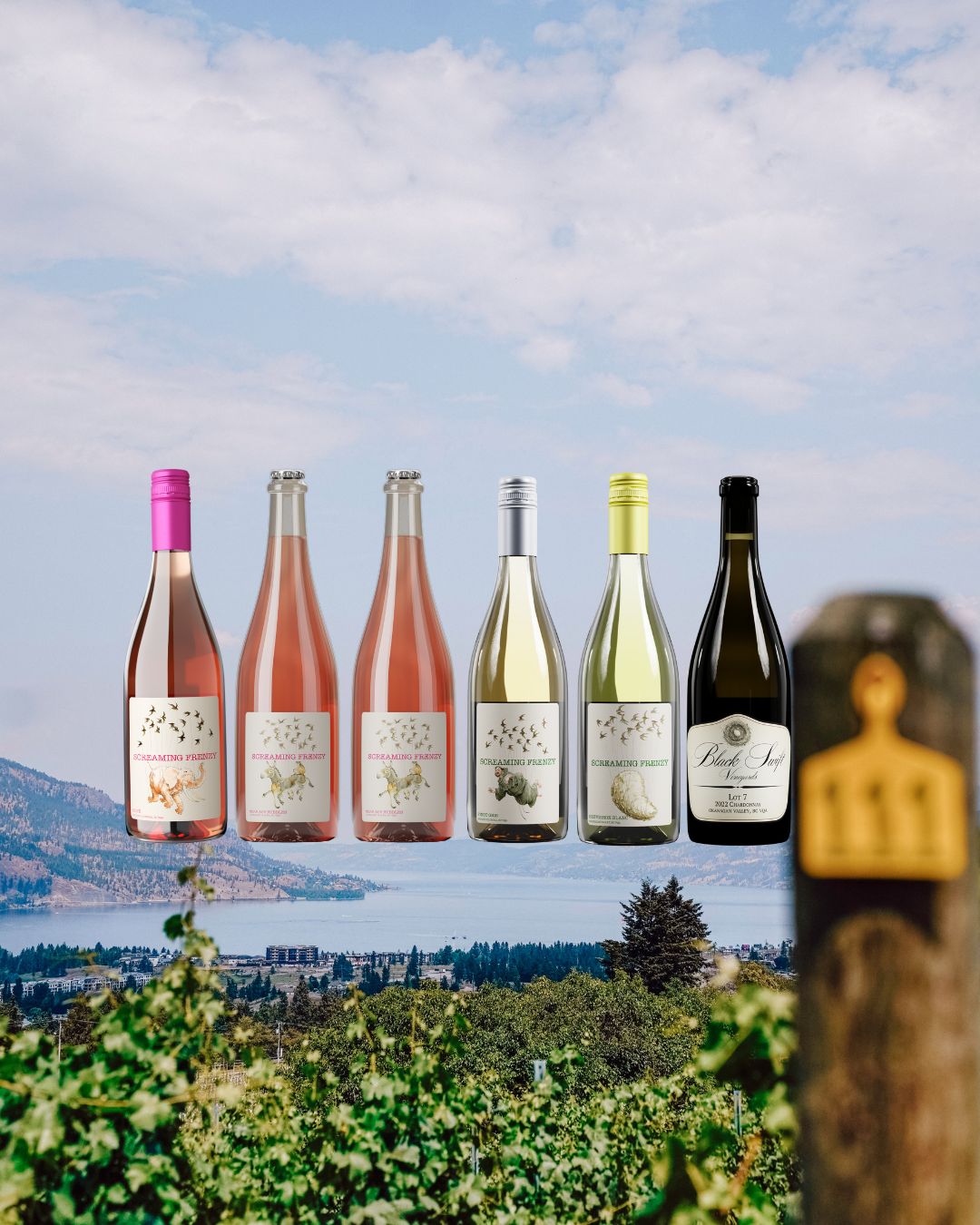 Black Swift Vineyards: To All The Wines You Loved Before!